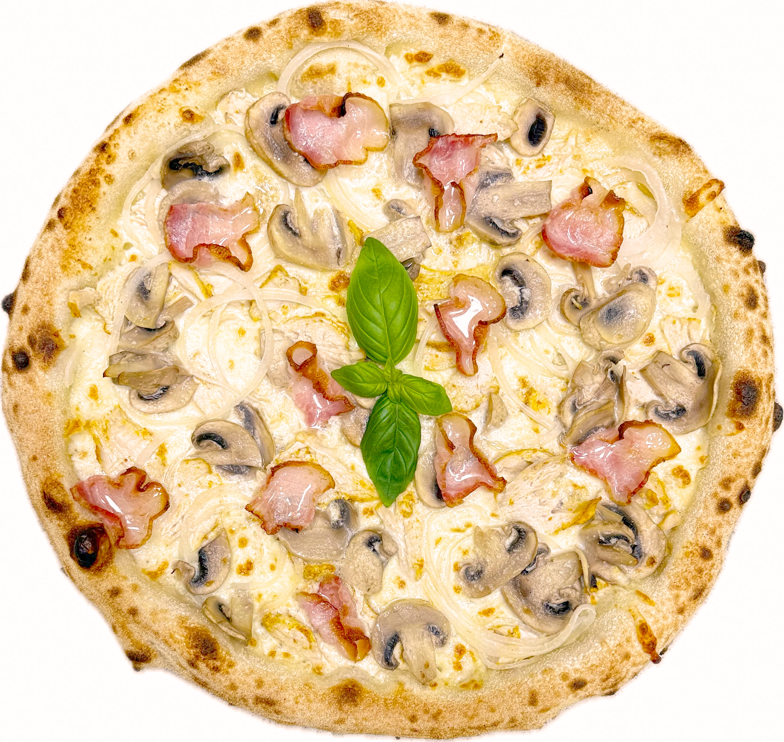 Alfredo